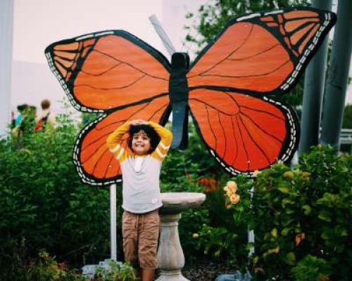 happiness-and-butterflies-2023-11-27-05-30-46-utc (1)